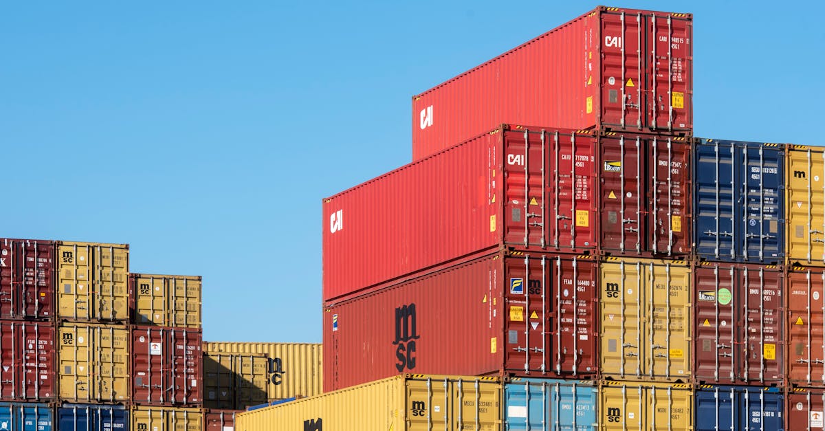 L'Impact Économique et les Opportunités d'Investissement