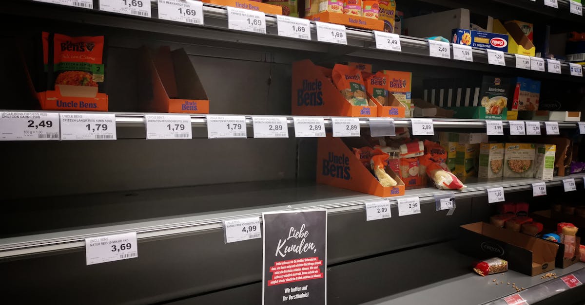 Quels Impacts pour le Pouvoir d'Achat des Ménages ?