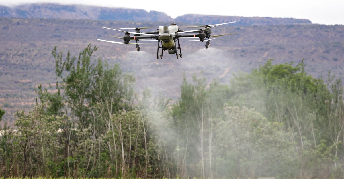 L'investissement dans l'agro-tech : une stratégie face aux défis sanitaires
