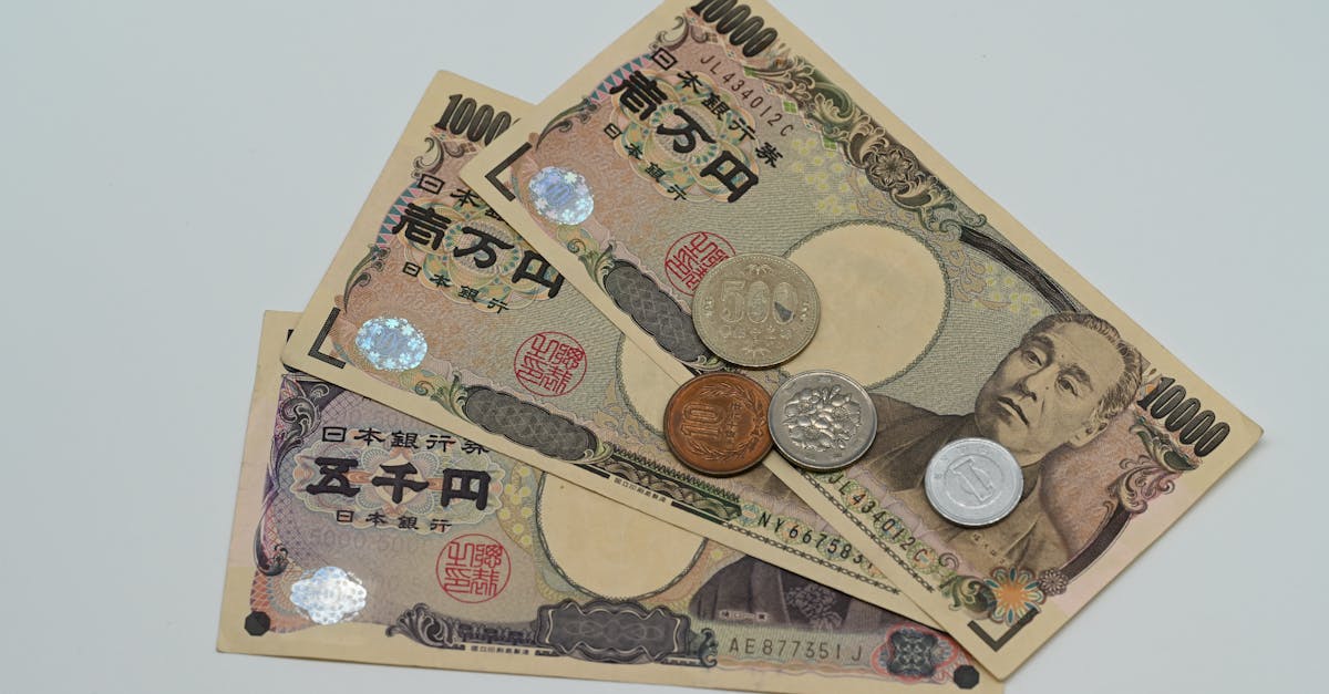 Catalyseur n°3 : Les interventions potentielles des autorités japonaises